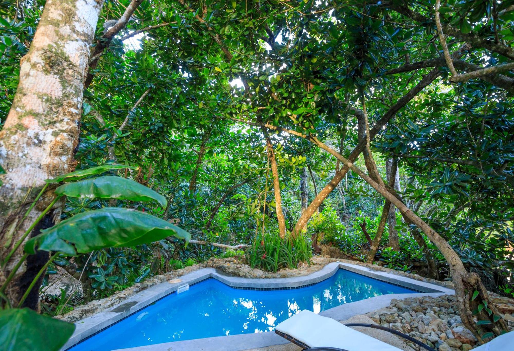 Savasi Island Resort Savusavu Quarto foto